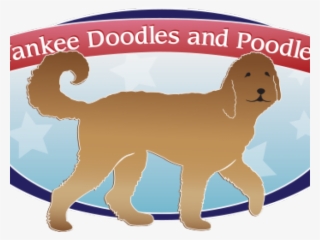 Goldendoodle Clipart Doodle Dog - Goldendoodle #5853651