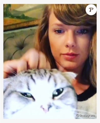 Cat, Meredith, And Taylor Swift Image - Taylor Swifts Cats Transparent ...