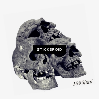 Pile Of Skulls Fantasy Skull - Skull #5854442