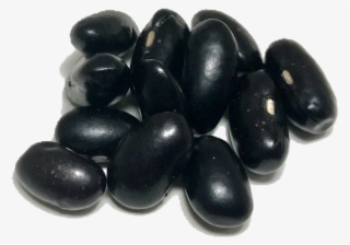 Bean #5854504