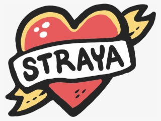 Png Freeuse Stock Stills We Don T Need A Map - We Don't Need A Map #5855271