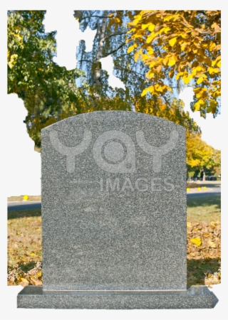 Bur'e∂ All L1v #5856117
