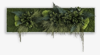 Green Wall Picture With Plants Sized 140 X 40 Cm Natural - Style Green Pflanzenbilder #5857421