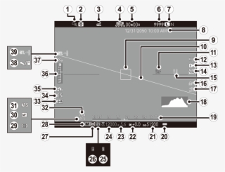Electronic Viewfinder/lcd Monitor - Electronic Viewfinder #5858630