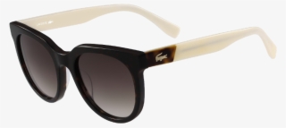 Stylish Sunglasses Png Images - Lacoste L850s Havana #5859538