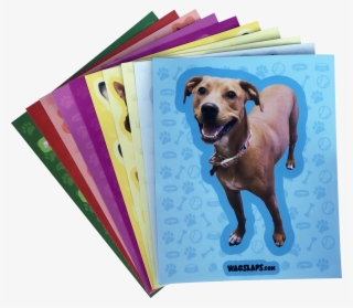 Large Custom Car Decal - Car #5860335