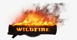 Wf Logo - Flame #5861124