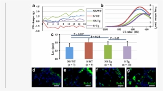 Effect Of Chronic Injury With Cigarette Smoke On Aldh2*2 - Common Fig #5861285