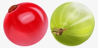 Free Png Images - Gooseberry #5863138