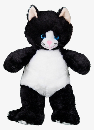 Baby Black Kitten #5863379
