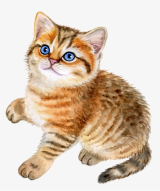 Kittens Banner Black And White Stock - Illustration #5863596