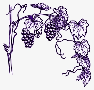 Grape Vine Clip Art - Grape Tree Clip Art #5864139