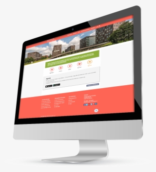 Organize Activities - Accounting #5864920