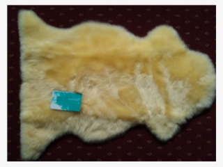 Home / Sheepskin - Wool #5865300