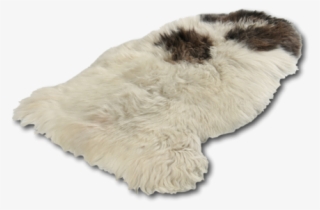 Esbeco #5865869