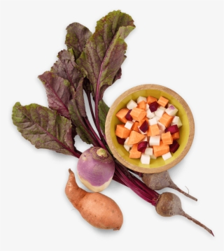 Root Veggies - Food Ingredients Transparent #5866801