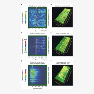 Type B Neuron Activity In The Interpositus Nucleus - Interposed Nucleus #5867398 Type B Neuron Activity In The Interpositus Nucleus - Interposed Nucleus #5867398