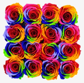 Rainbow Preserved Roses #5868197