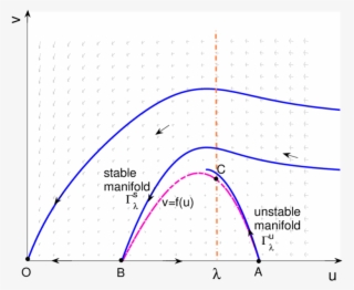 Basic Phase Portrait Of With A Coexistence Equilibrium - Plot #5868516