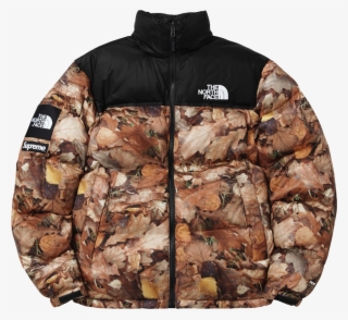 Supreme X The North Face 2016 Fall/winter Collection - Nuptse The North Face #5868866