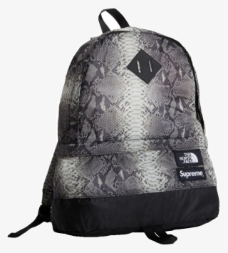Supreme/the North Face Snakeskin Lightweight Daypack - Backpack #5869190