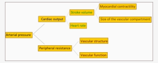 Determinants Of Arterial Pressure #5869872
