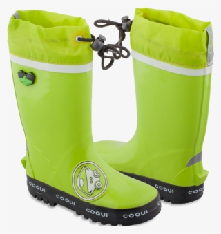 Coqui Holinky #5873766