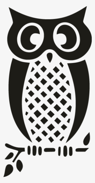 Owl - Black And White Owl #5874258