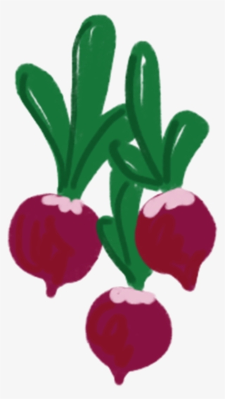 About Yogesh Sharma #5875216