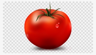 Transparent Camera Png Icon #5875469