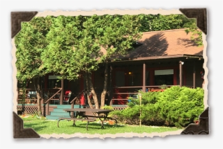 Hickory-new - Portable Network Graphics #5877576