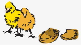 Baby Chicken Cartoon 17, Buy Clip Art - Chicken Clip Art #5877935