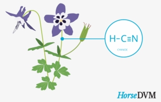 Columbine Toxic Components #5882251