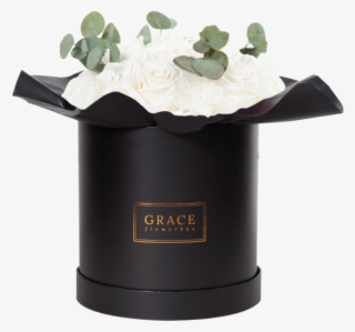 White Carnation - Cylinder #5882535 White Carnation - Cylinder #5882535