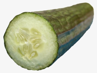 Cucumber - - Pickled Cucumber #5884097