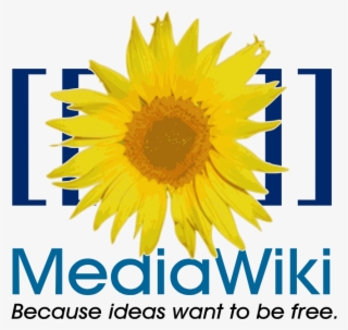 Okay, So How Did We Put This Complete Nhs Hlp Wiki - Logo Mediawiki #5884221