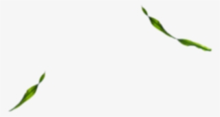 Phee Sunglasses - Illustration #5885619