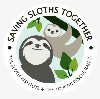 #backinthetrees #borntobewild - Sloths Logo #5886596 #backinthetrees #borntobewild - Sloths Logo #5886596