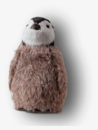 Baby Penguin Miniature From Down To The Woods - Penguin #5887045