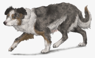 Border Collie By Riixon-d5uncwv - Anime Brown Border Collie #5888224