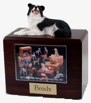 Border Collie -laying - Dog Figurines #5889301