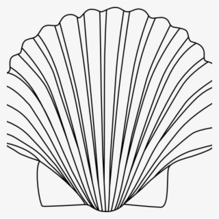 Shell Clipart Shells Clipart Black And White For Free - Clip Art Sea Shell #5889691