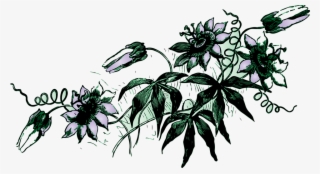 Flower Vine Png #5890359 Flower Vine Png #5890359
