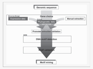 Download - Diagram #5890978