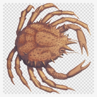 Crab Clipart Dungeness Crab King Crab - Hoffman Lake Mesh Cap #5893089