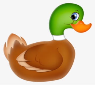 Mallard Duck * - Clip Art Canard #5893246