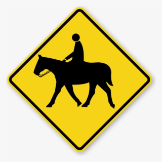 Zoom, Price, Buy - Noosa National Park #5893402