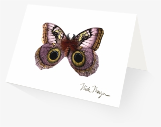 Owl Butterfly - American Painted Lady #5894121