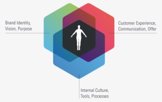 User Centered Design Logo #5895403