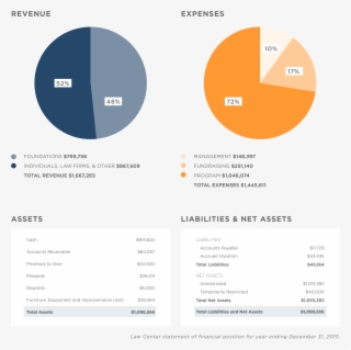 A Closer Look At 2015 For The Law Center To Prevent - Circle #5895604